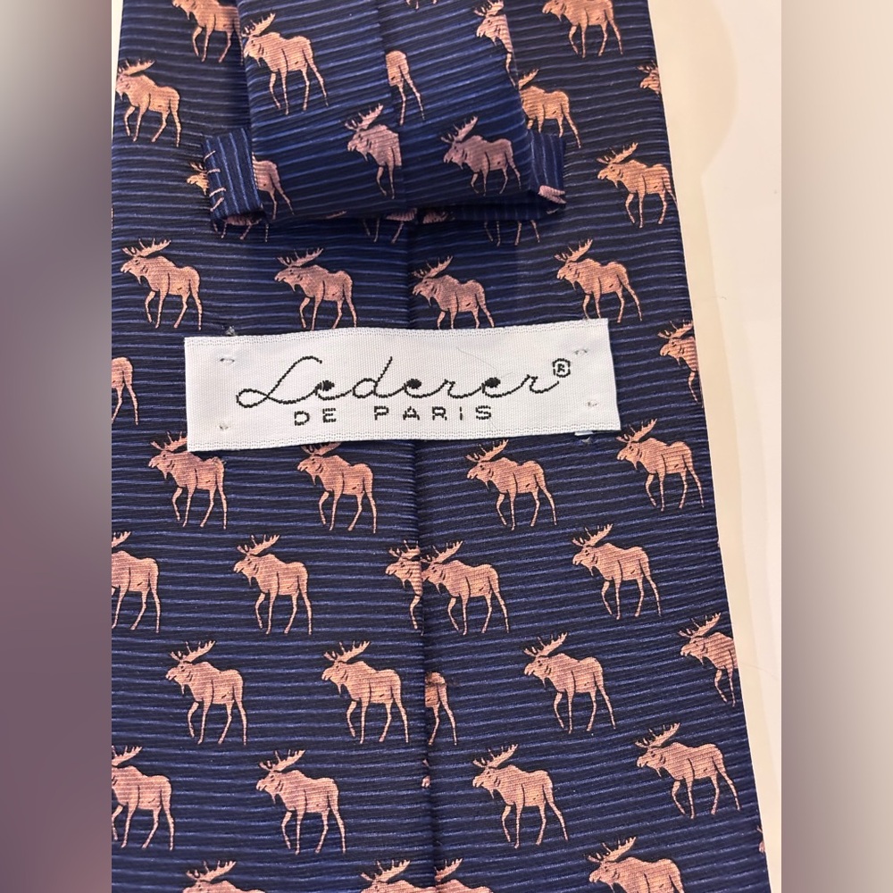 Lederer de Paris Blue and Pink Moose Tie